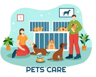 pets care
god on top
pets knowlegde
pets
dog